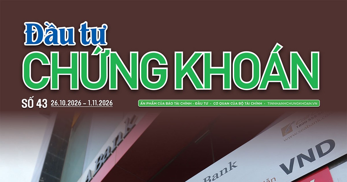 Báo Đầu tư Chứng khoán số 43