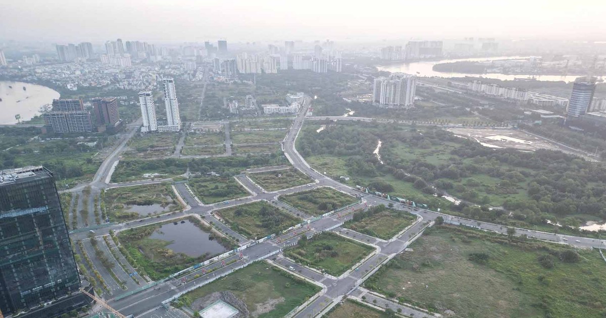 TP.HCM chấn chỉnh việc chậm trễ trong đấu giá đất công
