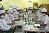 Ảnh chỉ mang tính minh họa (Nguồn: Internet)