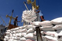 Với kết quả xuất khẩu 5,52 triệu tấn trong 11 tháng, Bộ Công Thương dự báo, xuất khẩu gạo cả năm 2017 sẽ đạt 5,9 - 6 triệu tấn.