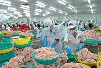 Hệ thống Thương vụ Việt Nam ở nước ngoài đã có nhiều đóng góp tích cực, nổi bật là thúc đẩy xuất khẩu của Việt Nam, đưa được các mặt hàng nông lâm thủy sản đặc trưng của Việt Nam tiếp cận nhiều thị trường lớn.