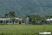 Trong thời gian giữ chức vụ Chủ tịch UBND quận Liên Chiểu, cả ông Thị và ông Hưng đã thiếu kiểm tra, phát hiện và xử lý kịp thời các hành vi vi phạm, để xảy ra tình trạng xây dựng không phép kéo dài tại khu vực quy hoạch dự án ga đường sắt.