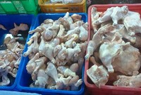 Thịt gà nhập khẩu từ Mỹ, Hàn, Brazil đổ bổ mạnh vào Việt Nam, áp lực cạnh tranh rất lớn cho các hộ, doanh nghiệp chăn nuôi gà công nghiệp.