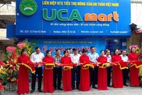 Tính đến thời điểm này, UCA đã mở được 7 điểm cung cấp nông sản an toàn, truy xuất được nguồn gốc trong kế hoạch mở 20 điểm của năm 2017.