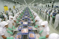 Biên lợi nhuận của các doanh nghiệp xuất khẩu thủy sản sang Trung Quốc dự báo sẽ tăng trưởng tích cực nửa cuối năm