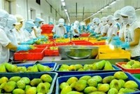 Nhiều mặt hàng nông sản chủ lực giảm kim ngạch xuất khẩu 7 tháng đầu năm