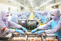 Tốc độ tăng kim ngạch xuất khẩu của khối doanh nghiệp trong nước đạt 18,1%, cao hơn nhiều tốc độ tăng của khu vực có vốn đầu tư nước ngoài (3,8%).