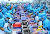 Năm 2019 là năm thứ 4 thương mại của Việt Nam đạt xuất siêu với mốc 10 tỷ USD.