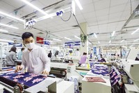 Đang có nhiều đề nghị hỗ trợ doanh nghiệp thông qua hỗ trợ trực tiếp cho người lao động. Ảnh: Đức Thanh