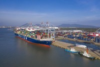 Theo Công ty TNHH Cảng quốc tế Cái Mép (CMIT), hiện 100% hàng hóa xuất nhập khẩu tuyến xa và hàng nội Á tại khu vực Cái Mép đều do các hãng tàu nước ngoài chuyên chở, thị phần của các hãng tàu nội địa là 0%.