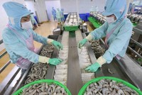 EVFTA được phê chuẩn tại Kỳ họp thứ 9, Quốc hội khóa XIV và có hiệu lực từ tháng 7 sẽ tiếp thêm động lực cho xuất khẩu của Việt Nam.