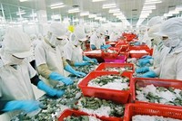 Kim ngạch xuất khẩu nhóm hàng nông, thủy sản giảm 9,9% so với tháng 7/2019, đạt 2,01 tỷ USD, trong đó thủy sản giảm 1,3%.