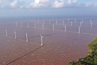 Hiện có 9 dự án điện gió nối lưới với tổng công suất khoảng 440 MW đang vận hành. Ảnh: Đức Thanh