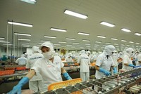 Lĩnh vực chế biến thủy sản được các nhà đầu tư Nhật Bản rất quan tâm tìm đối tác M&A. Ảnh: Đức Thanh