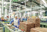 Xuất khẩu gỗ và sản phẩm gỗ 9 tháng năm 2020 vẫn duy trì đà tăng trưởng tốt, đạt 8,5 tỷ USD, tăng 12,4% so với cùng kỳ 2019.