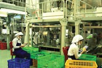 Việc tham gia và thực thi các FTA đã góp phần giúp Việt Nam tăng năng lực cạnh tranh quốc gia và doanh nghiệp. Trong ảnh: Nhà máy chế biến của Vinamit.