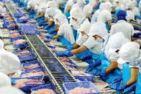 Dự kiến, doanh thu nhóm sản phẩm sức khoẻ của Vĩnh Hoàn sẽ đạt gần 700 tỷ đồng trong năm 2020, tăng 37% so với cùng kỳ năm ngoái.