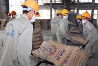Theo FPTS, hoạt động xuất khẩu xi măng, ckinker của nước ta mở rộng nhanh nhưng mang lại hiệu quả thấp.