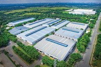 Nhiều doanh nghiệp cao su tự nhiên đang có xu hướng chuyển đổi đất trồng cao su sang xây dựng khu công nghiệp.