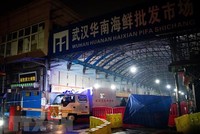 Chợ hải sản Hoa Nam ở Vũ Hán, tỉnh Hồ Bắc, Trung Quốc. (Nguồn: AFP/TTXVN).