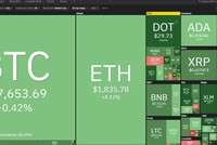 Ảnh Internet