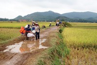 Xuất khẩu nông sản khó khăn đang ảnh hưởng trực tiếp đến đời sống của hàng chục triệu nông dân