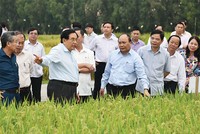 Với chủ trương dành hơn 100.000 tỷ đồng cho vay ưu đãi đầu tư nông nghiệp công nghệ cao, Thủ tướng Chính phủ cho rằng, ngành nông nghiệp Việt Nam sẽ khai thác được thế mạnh vốn có