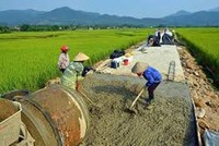 Ảnh minh họa (Internet)