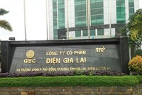 Điện Gia Lai có quy mô vay nợ tài chính khá lớn
