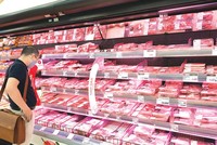 Giải pháp trước mắt để hạ nhiệt giá thịt lợn là vẫn phải đẩy mạnh nhập khẩu, bao gồm cả nhập khẩu thịt sống.