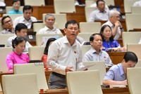 Đại biểu Nguyễn Ngọc Phương (Quảng Bình) phát biểu sáng 13/6.