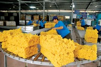 Theo Hiệp hội Các quốc gia sản xuất cao su thiên nhiên, năm 2020, thế giới sẽ chỉ tiêu thụ 12,84 triệu tấn cao su, giảm so với dự báo 13 triệu tấn đưa ra hồi tháng 4.