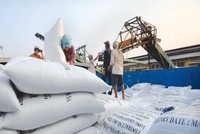 Tính đến tháng 8, mỗi tấn gạo trắng 5% tấm của Việt Nam xuất khẩu có giá cao hơn gạo Thái Lan cùng loại khoảng 15 USD.