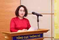 TS. Nguyễn Thị Hương, Tổng cục trưởng Tổng cục Thống kê