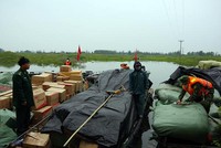 Lực lượng chức năng lập biên bản, xử lý vụ việc theo quy định của pháp luật.