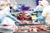 VASEP đề nghị bỏ các sản phẩm thủy sản (trừ sản phẩm sống, tươi sống, ướp lạnh) khỏi danh mục động vật, sản phẩm động vật thủy sản thuộc diện phải kiểm dịch