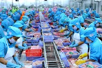 Thủy sản có mức tăng xuất khẩu ấn tượng sang Australia trong tháng 1/2021 với mức tăng 106% so với cùng kỳ. Ảnh: Internet