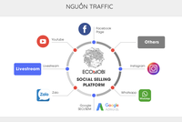 Ảnh Internet