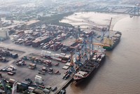 Nhiều doanh nghiệp vận tải biển gấp rút mở rộng năng lực vận tải