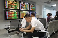 Top 10 cổ phiếu tăng/giảm mạnh nhất tuần: Cổ phiếu dầu khí và ngân hàng là động lực chính của thị trường