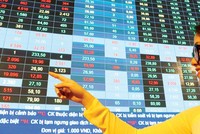 Điểm sáng trong vùng lặng thông tin trên thị trường chứng khoán