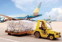 NCT trả tạm ứng cổ tức năm 2015, tỷ lệ 50%