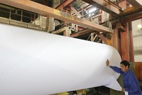 Coi chừng làm “sống lại” Luật Doanh nghiệp nhà nước