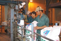 Lợi nhuận quý II của DPM có thể giảm mạnh