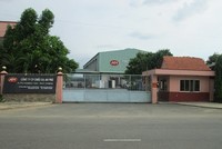 Ảnh Internet