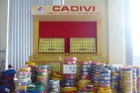 Cadivi, cơ hội mới cho nhà đầu tư