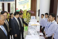 Sau khi kết thúc đấu giá, cổ phiếu của DN cổ phần hóa cần được đăng ký, lưu ký tập trung tại VSD để có thể sẵn sàng giao dịch