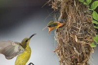 Nhà nhỏ cũng là nhà!