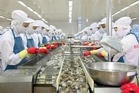 Theo MPC, việc thanh toán cước vận tải bằng VND gây bất lợi khi vào thị trường Mỹ