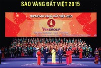 Việt Nam cần nhiều hơn những DN tư nhân
có tầm cỡ